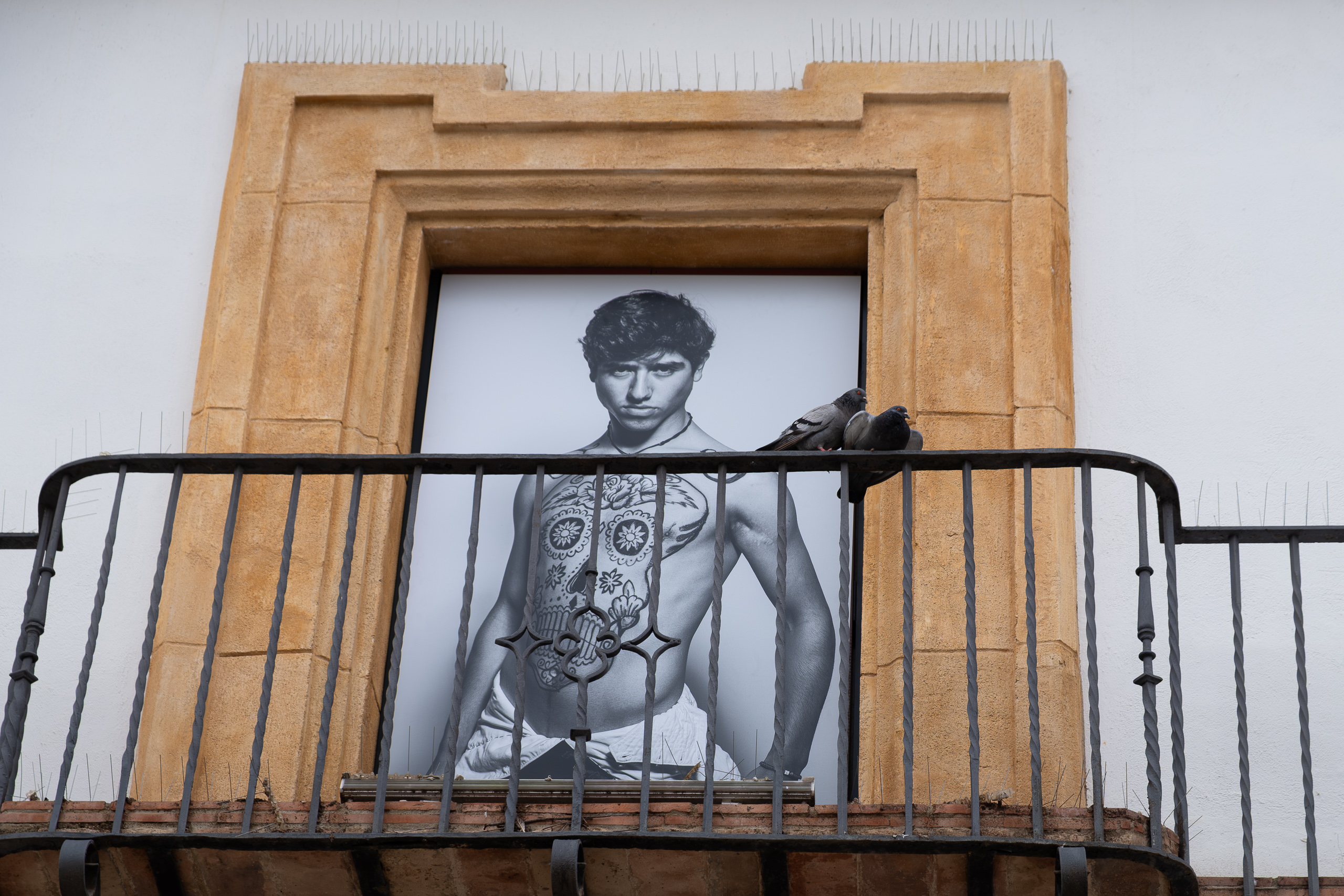 Fotoausstellung an einer Hausfassade – mit Taube